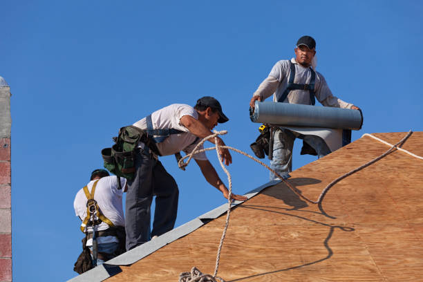 Best Residential Roof Replacement  in Maud, TX